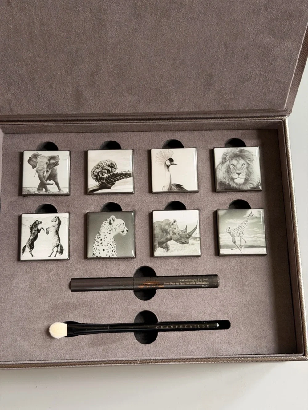 NIB Chantecaille Luminescent Eye Shade Collection 8 Shades Eye Base Brush RARE